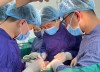phẫu thuật cắt khối tá tụy thành công cho bệnh nhân mắc ung thư đường mật ngoài gan.